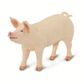 Safari Ltd Large White Pig