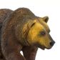Safari Ltd Grizzly Bear