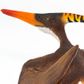 Safari Ltd Pteranodon Prehistoric World