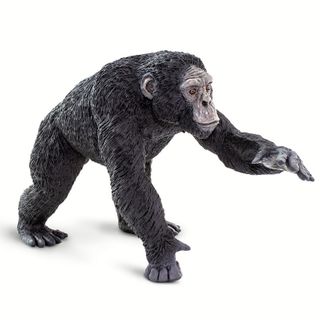 Safari Ltd Chimpanzee