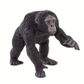 Safari Ltd Chimpanzee Wildlife Wonder