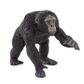 Safari Ltd Chimpanzee