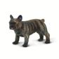 Safari Ltd French Bulldog