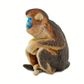 Safari Ltd Snub Nosed Monkey