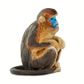 Safari Ltd Snub Nosed Monkey