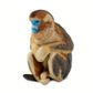 Safari Ltd Snub Nosed Monkey Wild Safari Wildlife