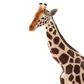 Safari Ltd Giraffe Wild Safari Wildlife*