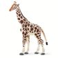 Safari Ltd Giraffe Wild Safari Wildlife*