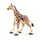 Safari Ltd Giraffe Baby Wild Safari Wildlife*