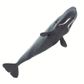 Safari Ltd Sperm Whale