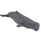 Safari Ltd Sperm Whale