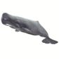 Safari Ltd Sperm Whale Wild Safari SeaLife