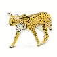 Safari Ltd Serval