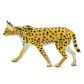 Safari Ltd Serval