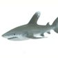 Safari Ltd Ocean Whitetip Shark