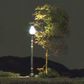 Woodland Scenics N Lamp Post Street Lights
