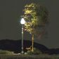 Woodland Scenics O Lamp Post Street Lights