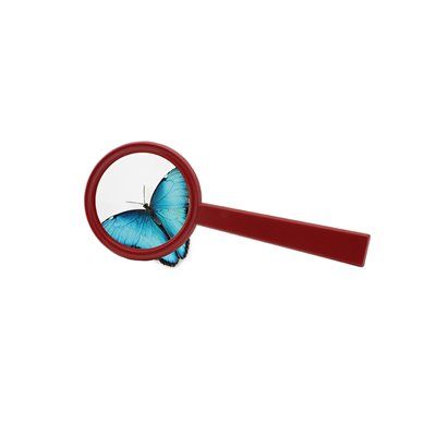 Safari Ltd Safari Ltd Magnifier 1 Piece