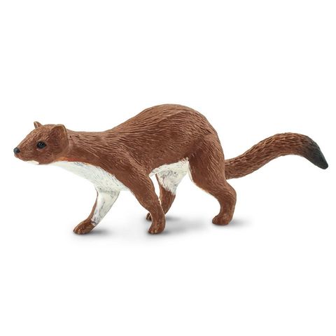 Safari Ltd Weasel