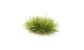 Woodland Scenics Medium Green Grass Tufts