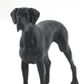 Safari Ltd Great Dane