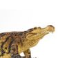 Safari Ltd Sarcosuchus