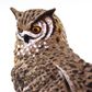 Safari Ltd Eagle Owl