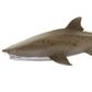 Safari Ltd Sand Tiger Shark