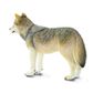 Safari Ltd Gray Wolf