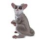 Safari Ltd Bush Baby