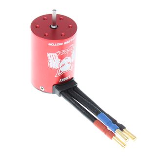 Redcat Brushless Sensorless Motor (3300KV)
