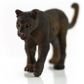 Safari Ltd Black Panther Wild Safari Wil