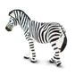 Safari Ltd Plains Zebra Wild Safari Wil