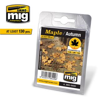 Ammo Maple - Autumn Leaves