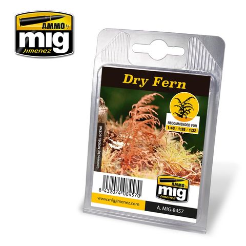 Ammo Dry Fern Plant