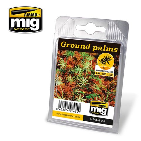 Ammo Ground Palms Plant