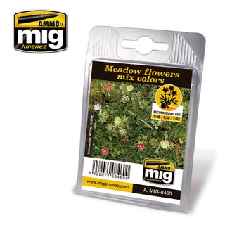 Ammo Meadow Flowers Mix Colours Plant
