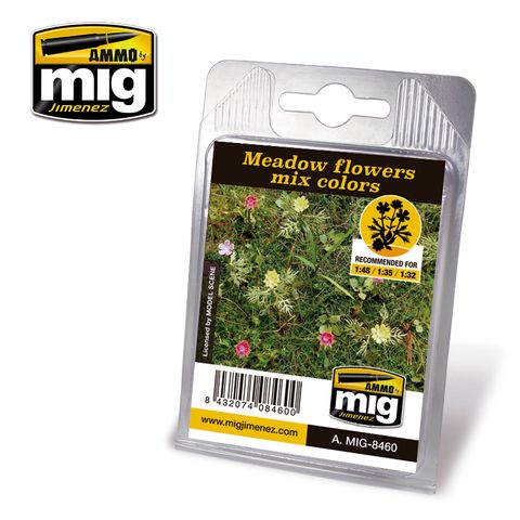 Ammo Meadow Flowers Mix Colours Plant