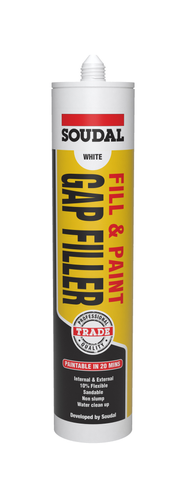 Fill & Paint Gap Filler White 300ml  (12)