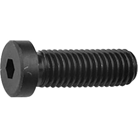 LOW HEAD SOCKET CAP SCREW