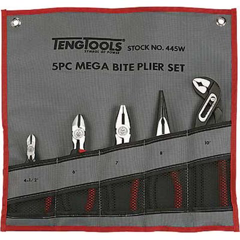 TENG 5 PCE PLIERS SET