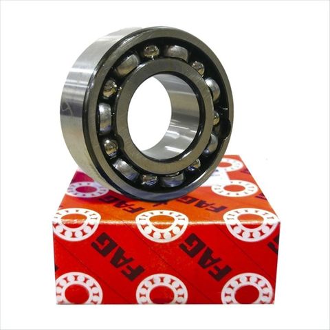 DOUBLE ROW BALL BEARING
