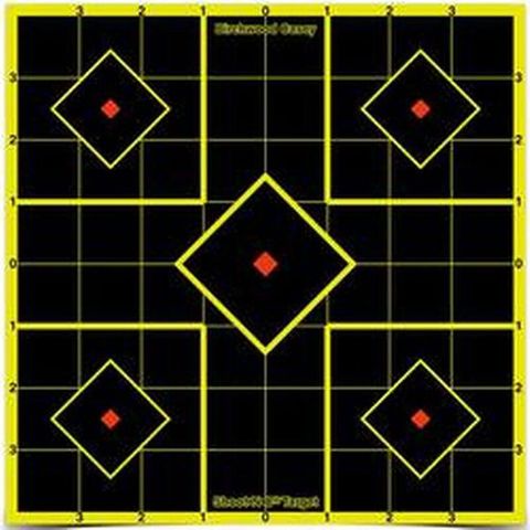 BIRCHWOOD CASEY SHOOT N SEE SIGHT IN TARGETS 8INCH 6PKT