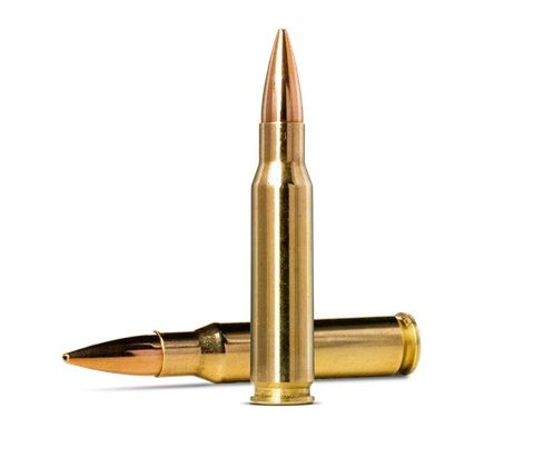 NORMA 308 155G GOLDEN TARGET 20PKT