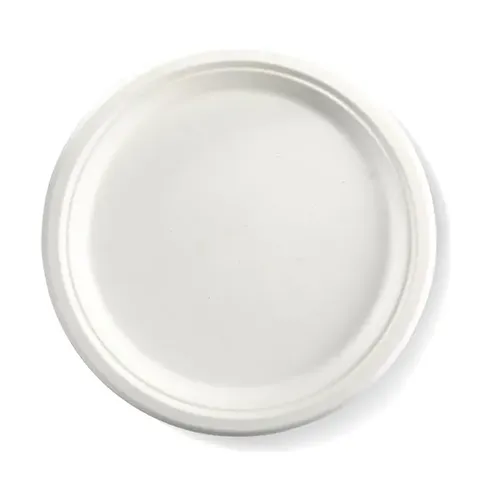 Biopak 25cm / 10" Round Plant Fibre Plate 125 units per slve