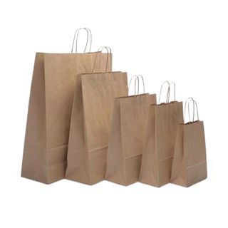 Large Check Out Twist Handle Paper Bag 240x305x180mm