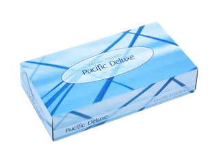 PH 100pk Facial Tissue Deluxe 2ply