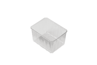 Punnet Open 1kg 176x135x103 RPET x500