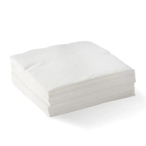 Biopak 2-Ply 1/4 Fold White Corner Embossed Dinner BioNapkin 100 units per slve