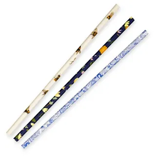 Biopak 6mm Regular Art Series BioStraw 250 units per slve
